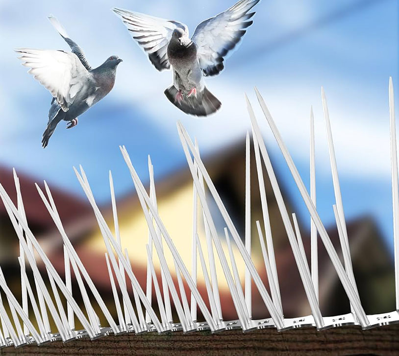 Bird Control Spike