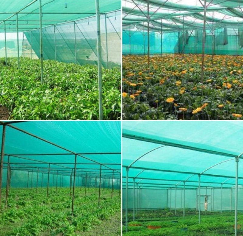 Salamah Agro Shade Nets | 50% Shading | 50 GSM, 67 GSM & 80 GSM