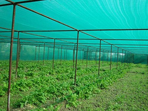 Salamah Agro Shade Nets | 90% Shading |Above 90 GSM
