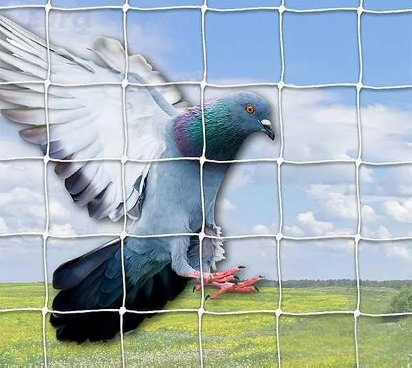 Bird Control Nets