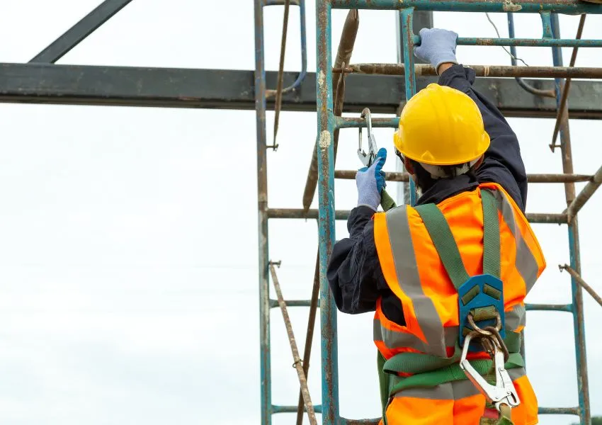 Fall Arrestor Systems