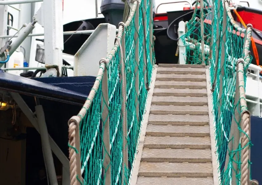 Gangway Nets