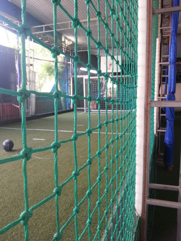 Cricket fencing net