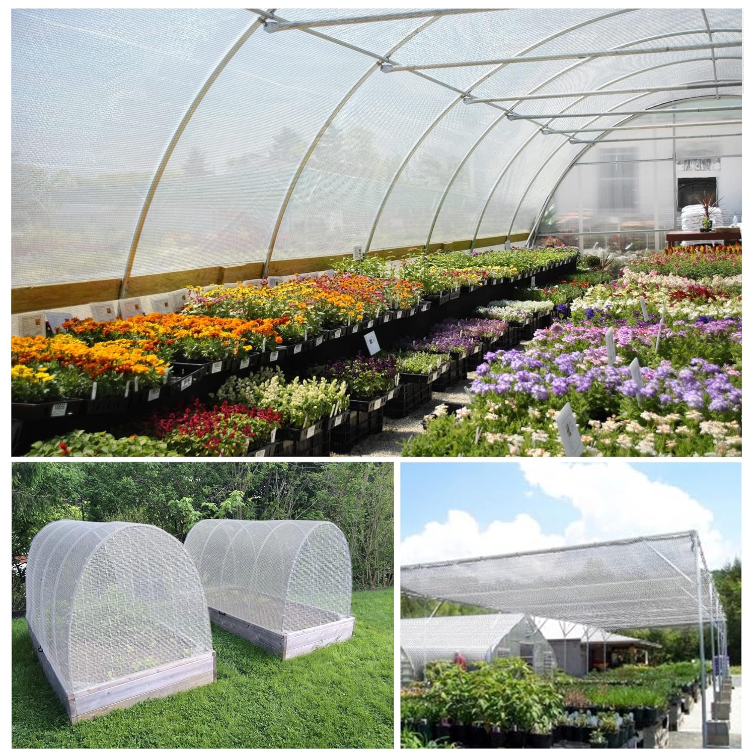 Poly house shade net