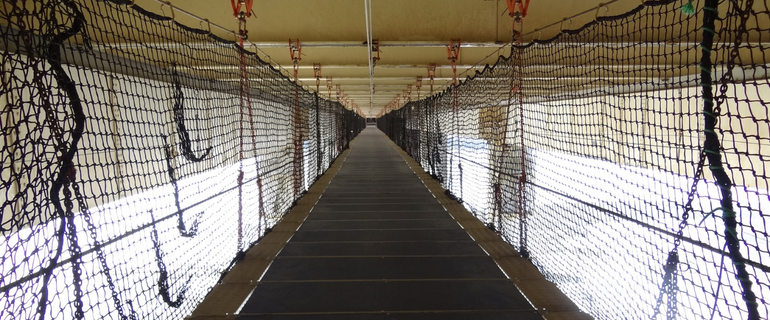 gangway safety nets