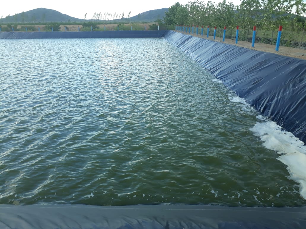 artifical ponds using liner