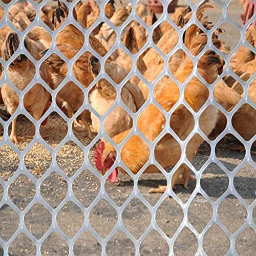 Fencing nets for hen & pegion nets