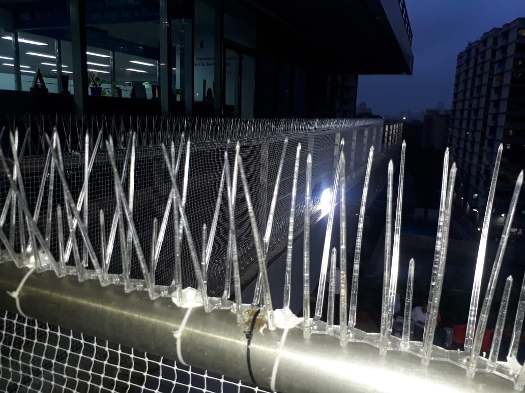 Bird spike on railings to prevent birds to sit on the balcony railing
