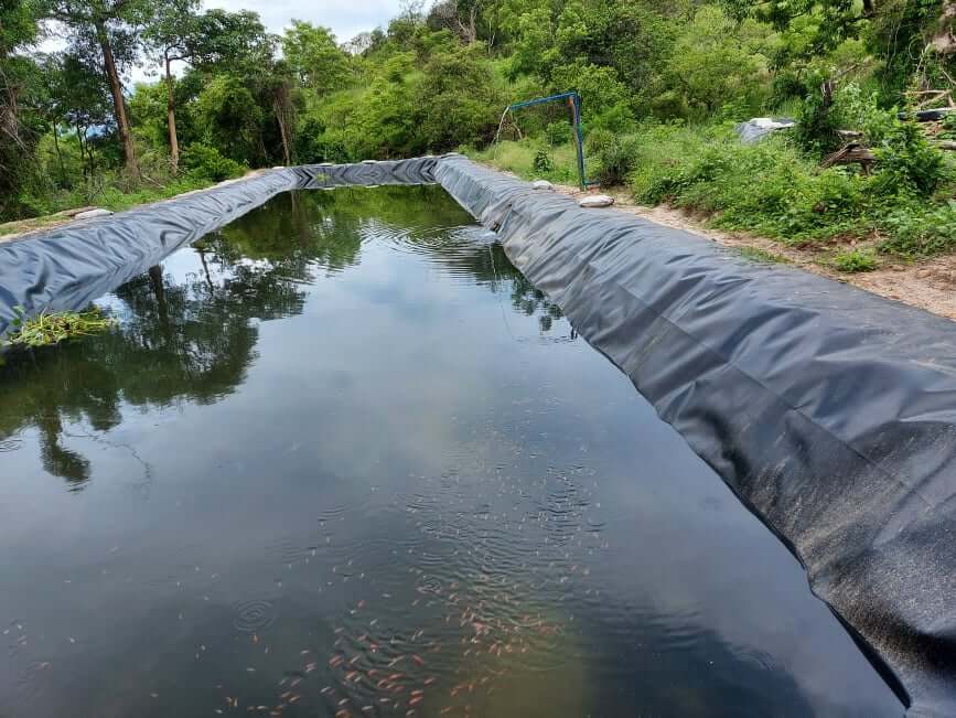 artifical ponds for fish farming