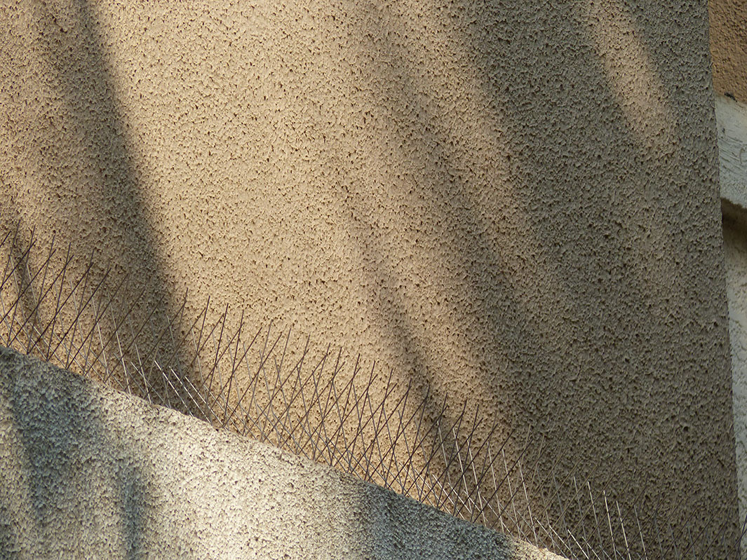 After fixing the SS bird spikes