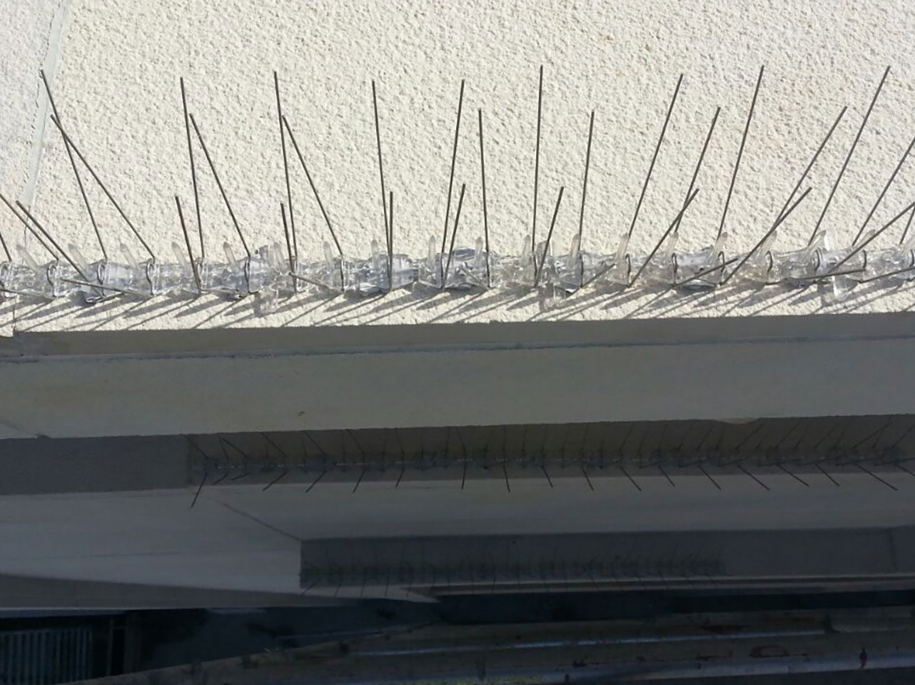 SS spikes not only prevent birds from sitting on edges but also enhance the aesthetic appeal.