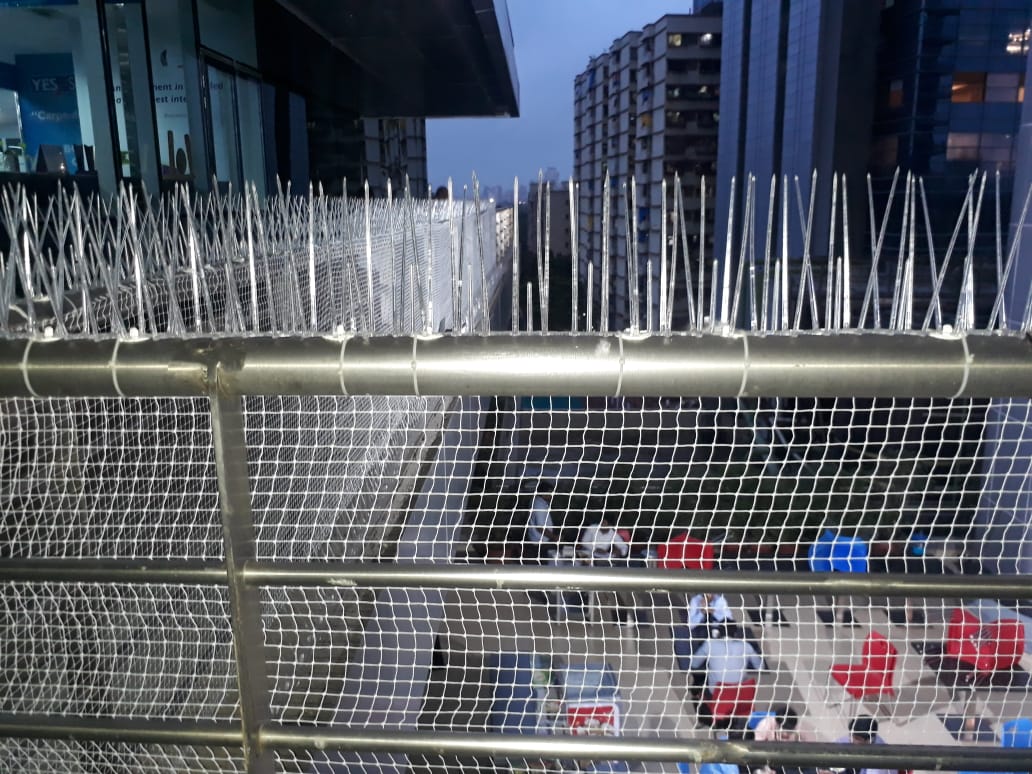 Bird spike on railings to prevent birds to sit on the balcony railing